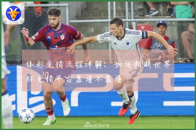 体彩竞猜流程详解：如何判断世界杯竞猜平台靠谱不靠谱